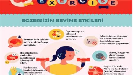 Fitness ve İş Performansı Egzersizin Verimlilik ve Zihinsel Odak Üzerindeki Etkileri